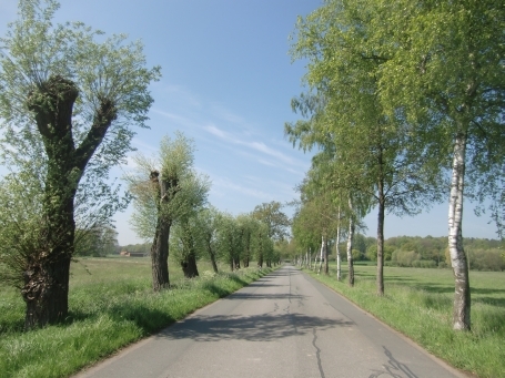 Sonsbeck : Grenzdycker Straße, am NSG Grenzdyck